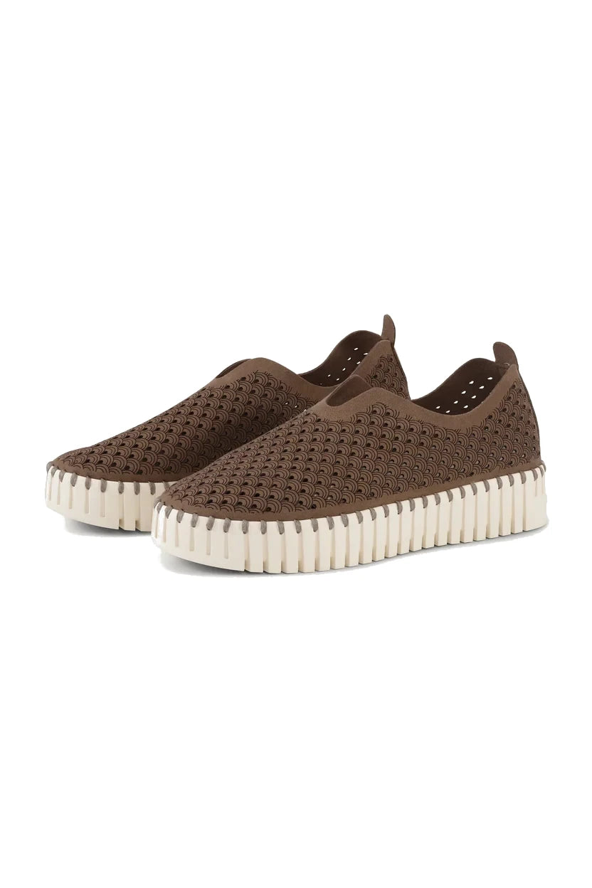 Buty Tulip 3373 Mocca Ilse Jacobsen
