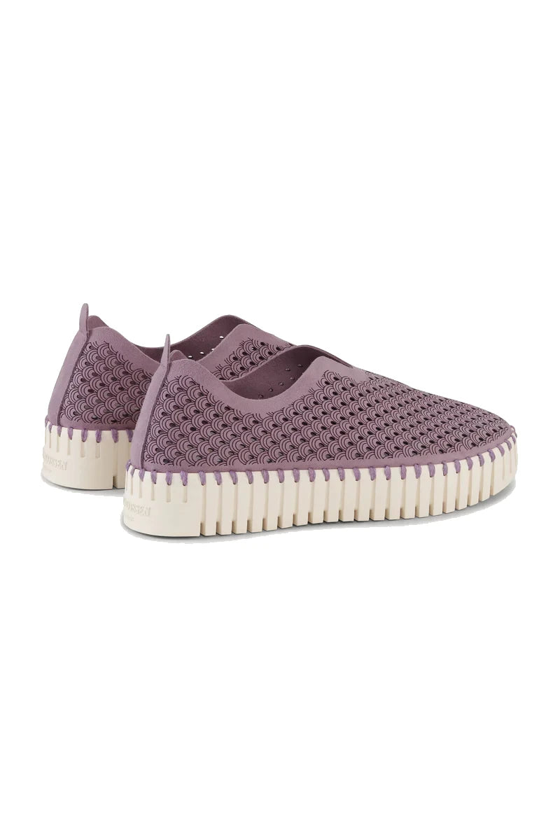 Buty Tulip 3373 Mauve Shadows Ilse Jacobsen