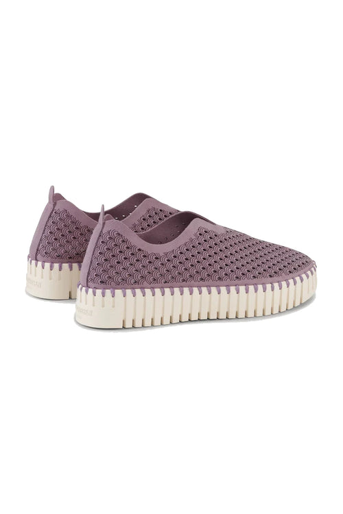 Buty Tulip 3373 Mauve Shadows Ilse Jacobsen