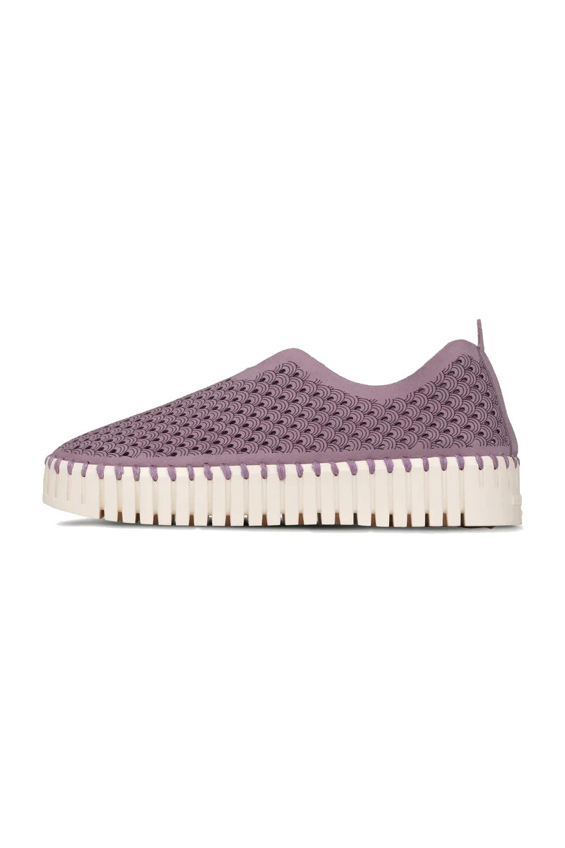 Buty Tulip 3373 Mauve Shadows Ilse Jacobsen