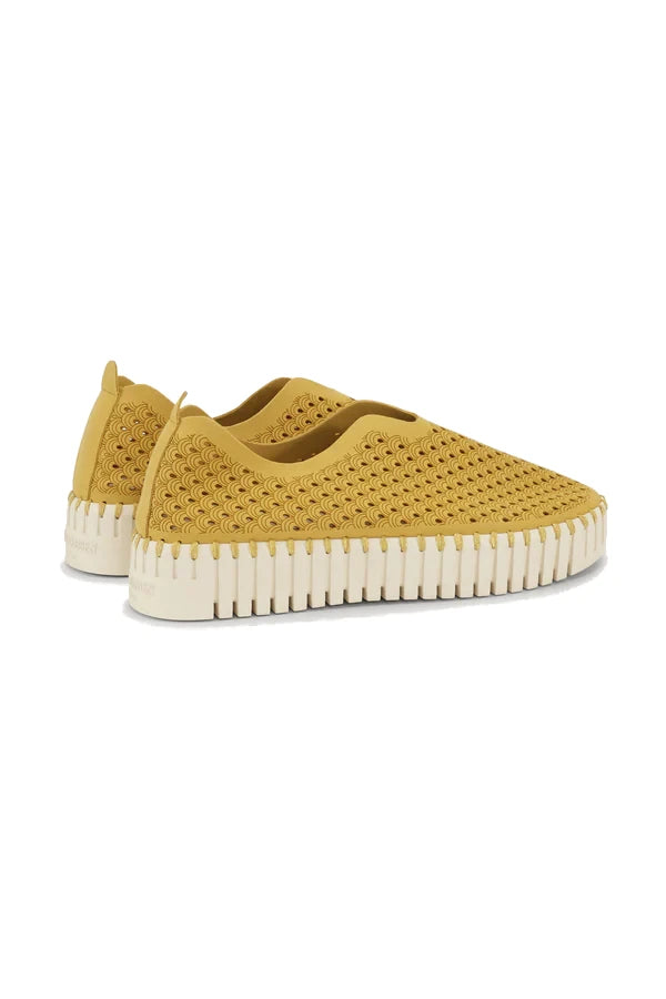 Buty Tulip 3373 Golden Rod Ilse Jacobsen
