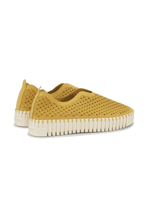 Buty Tulip 3373 Golden Rod Ilse Jacobsen