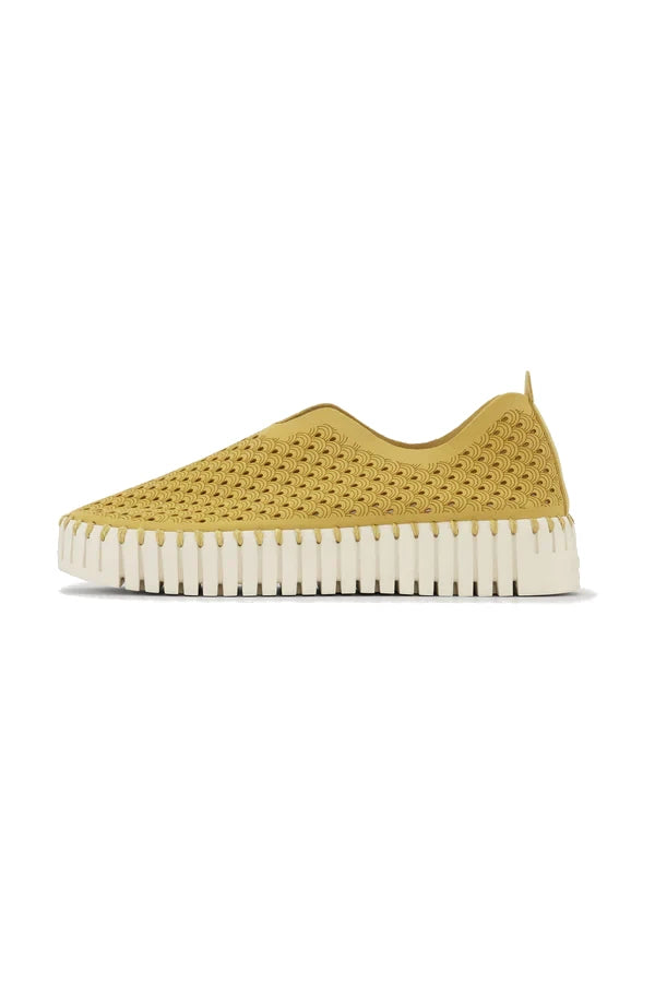 Buty Tulip 3373 Golden Rod Ilse Jacobsen
